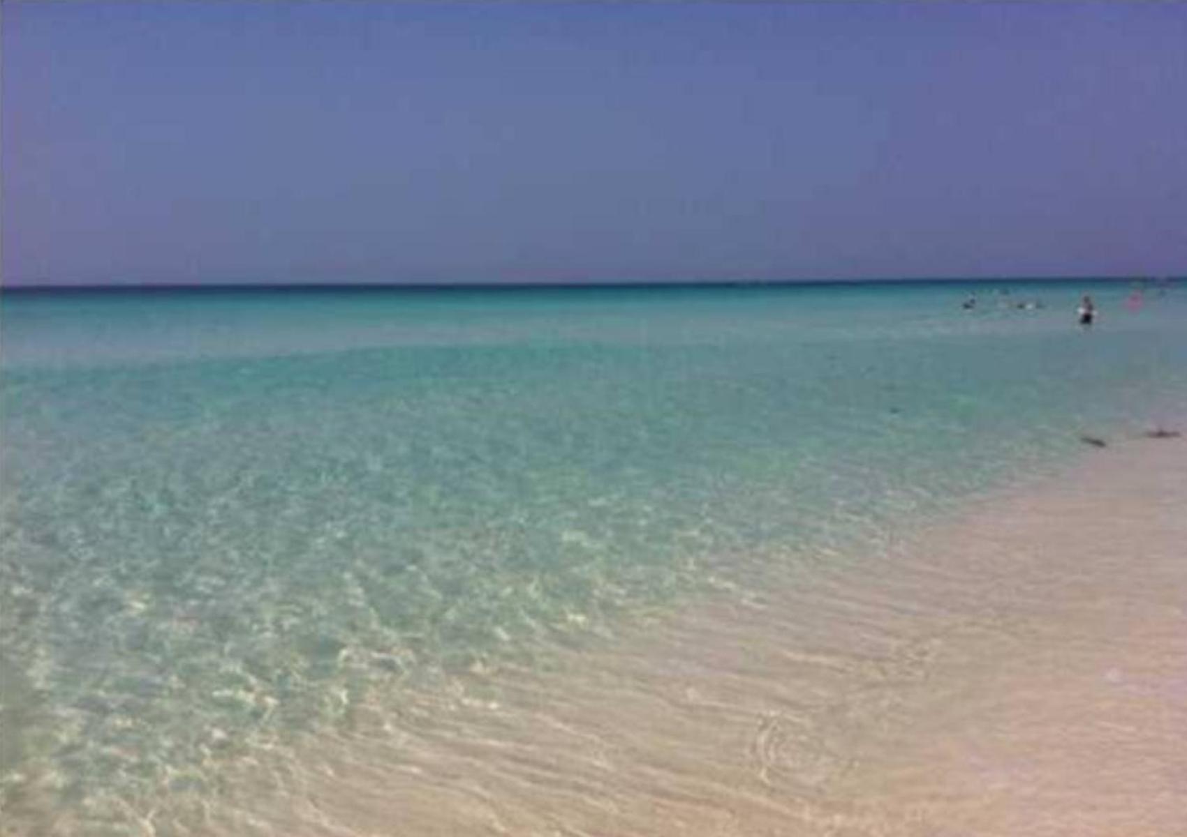 Say Yes To Spring! 4Br Home W Private Pool 2 Min To Destin Beaches Exterior foto